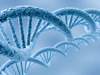 DNA and Patents: Association for Molecular Pathology v. Myriad Genetics, Inc. - Podcast